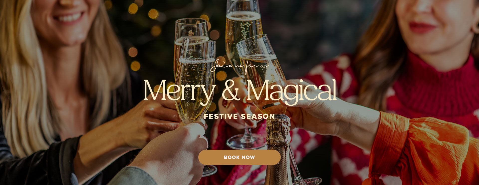 Christmas 2025 at Hayes